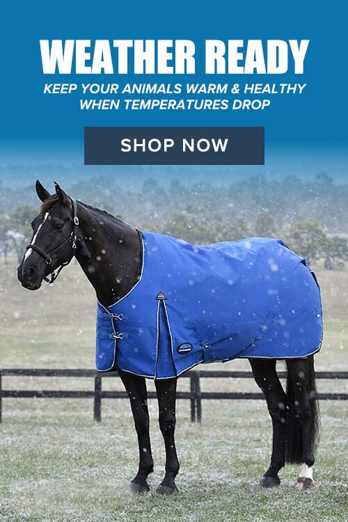 Weather Ready: Keep Your Animals Warm & Healthy When Temperatures Drop. Shop Now.